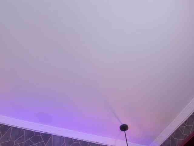 zephyra-angels zephyra-angels