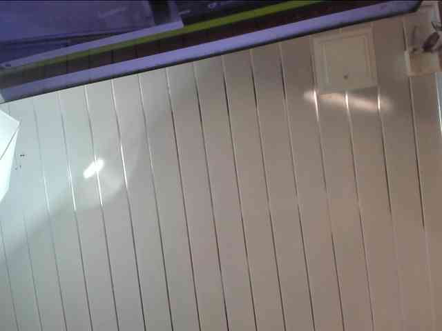 zephyra-angels webcam