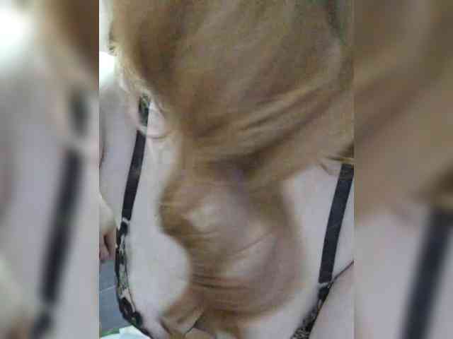 -sexy-couple bongacams