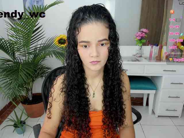 yendy-wc webcam