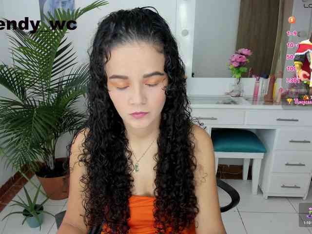 yendy-wc webcam