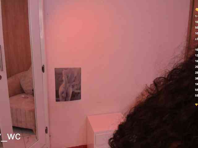 yendy-wc webcam
