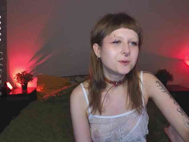 kortny-yo webcam