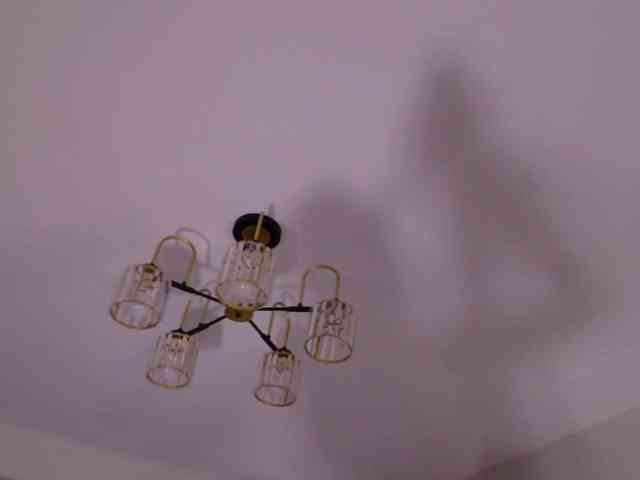 Mishel-Blessing Mishel-Blessing