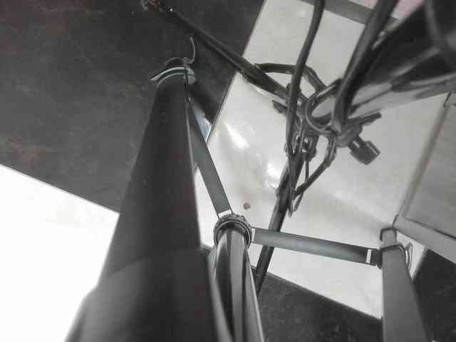 TaniaBellini Live Webcam on BongaCams