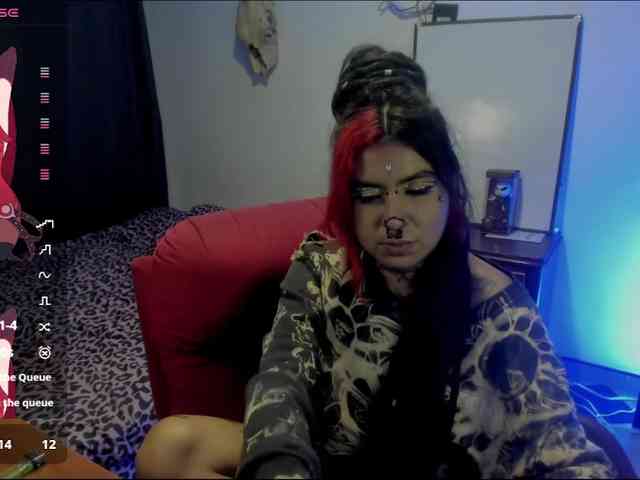 Nana-Cirkus webcam