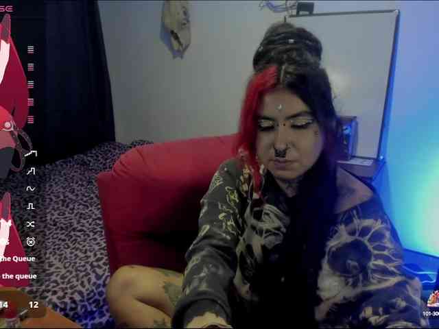 Nana-Cirkus webcam