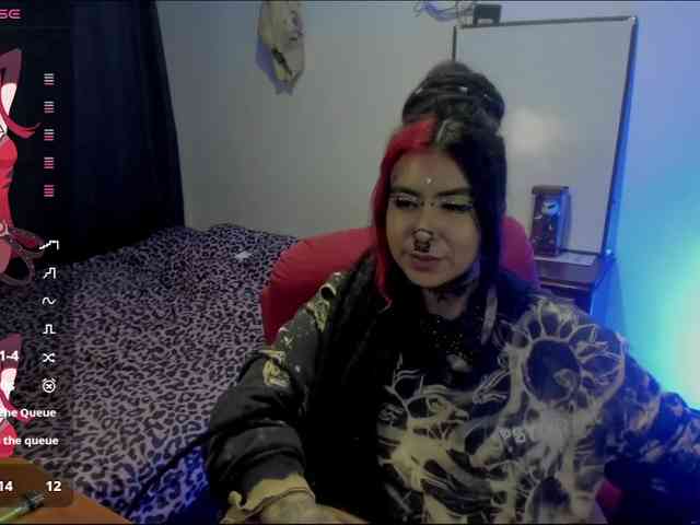 Nana-Cirkus webcam