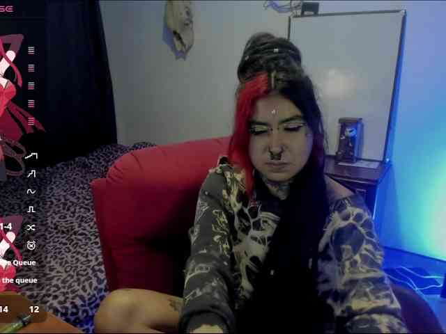 Nana-Cirkus webcam