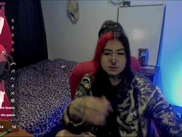Nana-Cirkus webcam