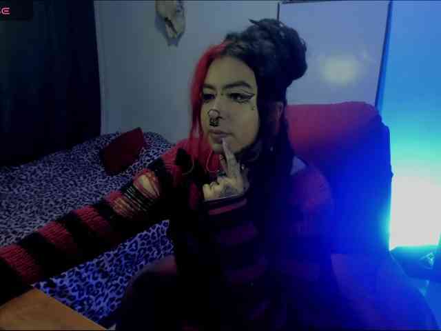 Nana-Cirkus webcam