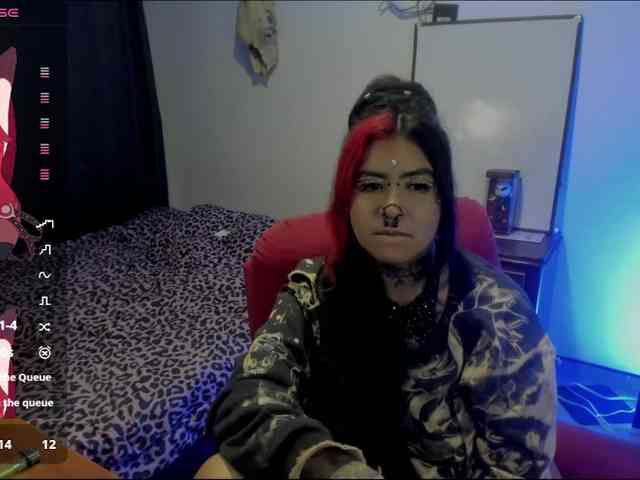 Nana-Cirkus webcam