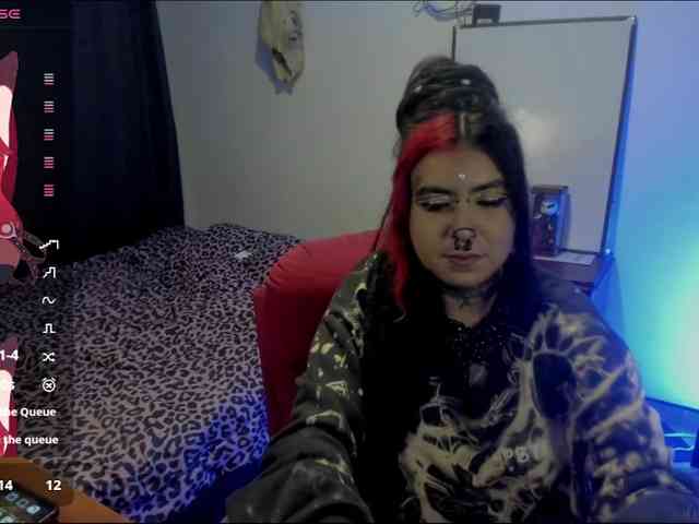Nana-Cirkus webcam