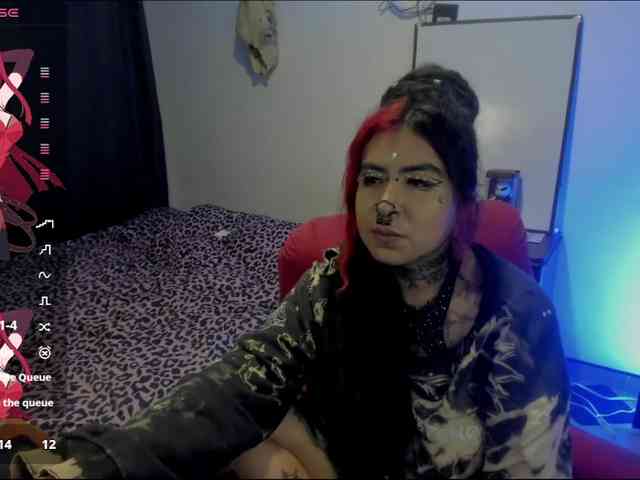 Nana-Cirkus webcam