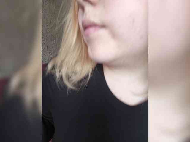 Vaverina webcam