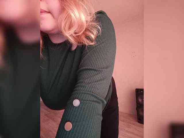 Vaverina webcam
