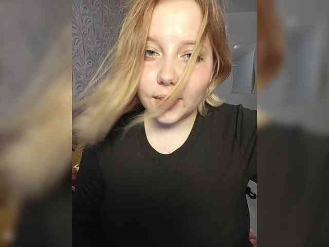 Vaverina webcam