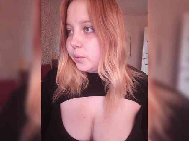 Vaverina webcam