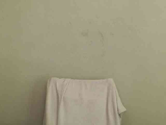 ice-hot webcam