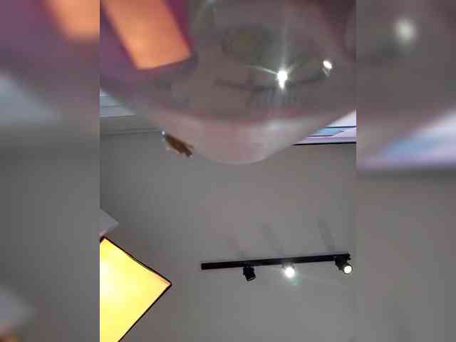 MaiaWatson MaiaWatson