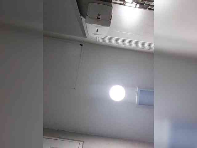 MaiaWatson MaiaWatson