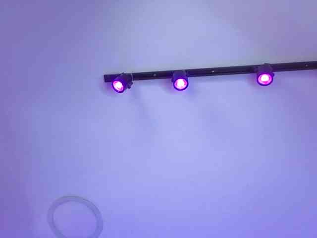 MaiaWatson webcam