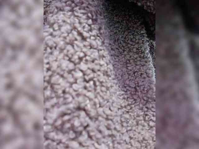 online webcam MaiaWatson