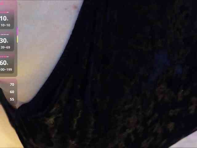 SilvaTail webcam