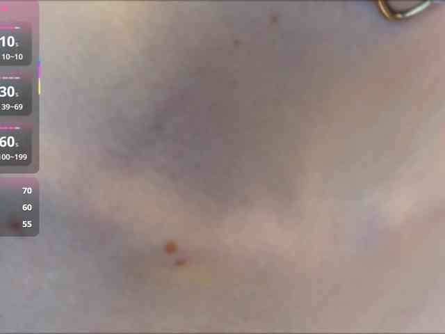 SilvaTail webcam