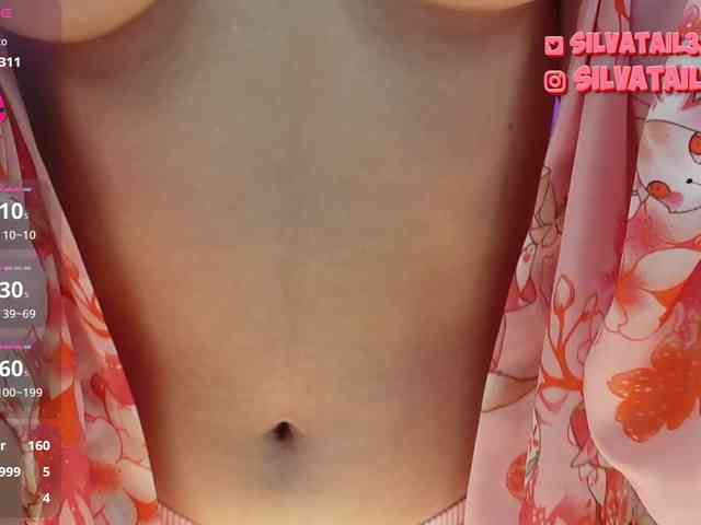 SilvaTail webcam
