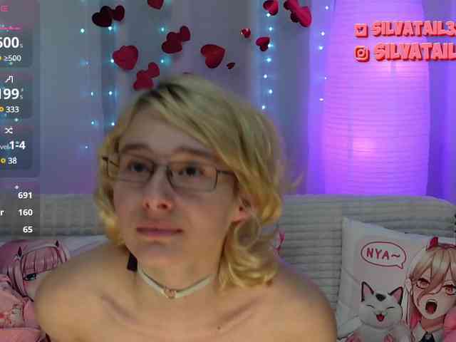 SilvaTail webcam