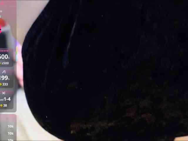 SilvaTail webcam