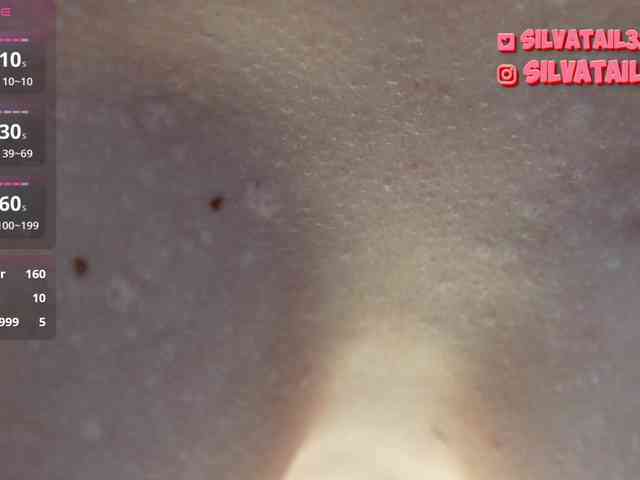 SilvaTail webcam