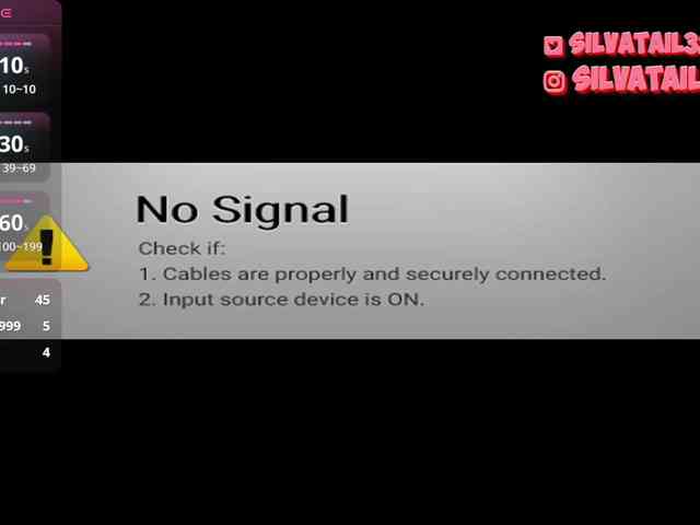 SilvaTail webcam