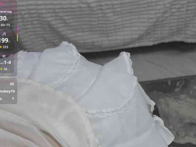SilvaTail webcam