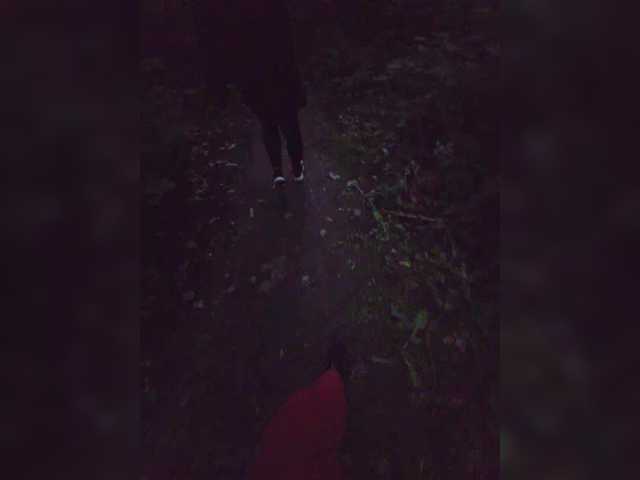 Sexikka