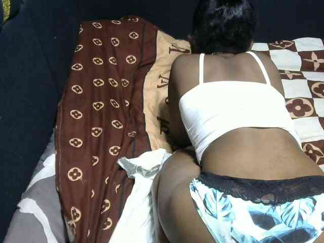 Maha19x webcam