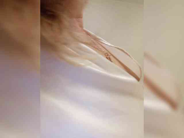 -Amelia--- webcam