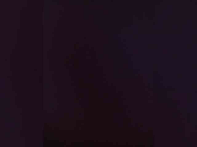 PaRa_NePaRa webcam