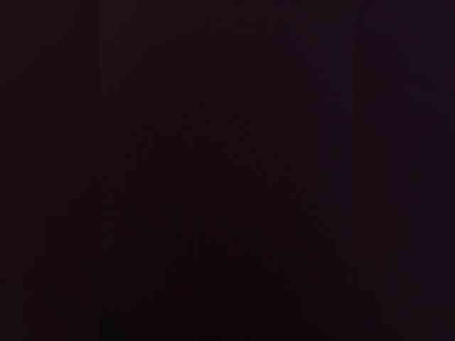PaRa_NePaRa webcam