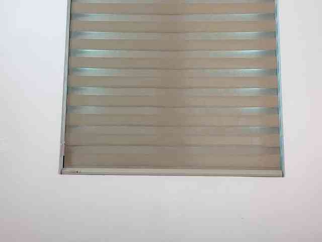 Selena295 webcam