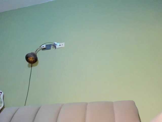 mspurrfect cam belle