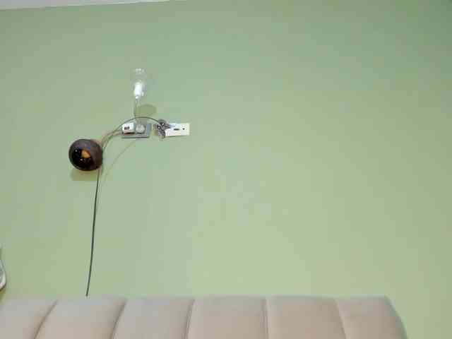 Mspurrfect webcam