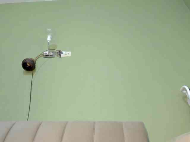 Mspurrfect webcam