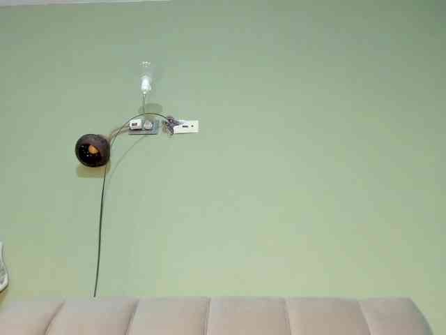 Mspurrfect webcam