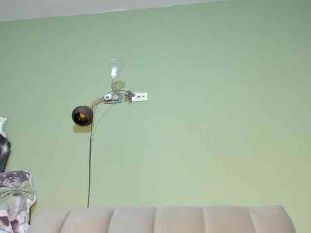 Mspurrfect webcam