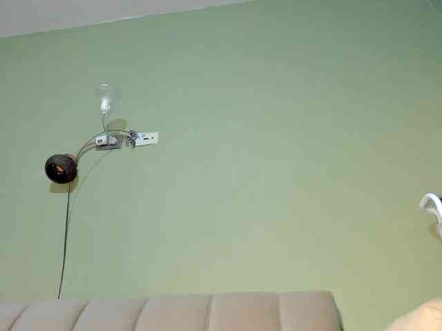 Mspurrfect webcam