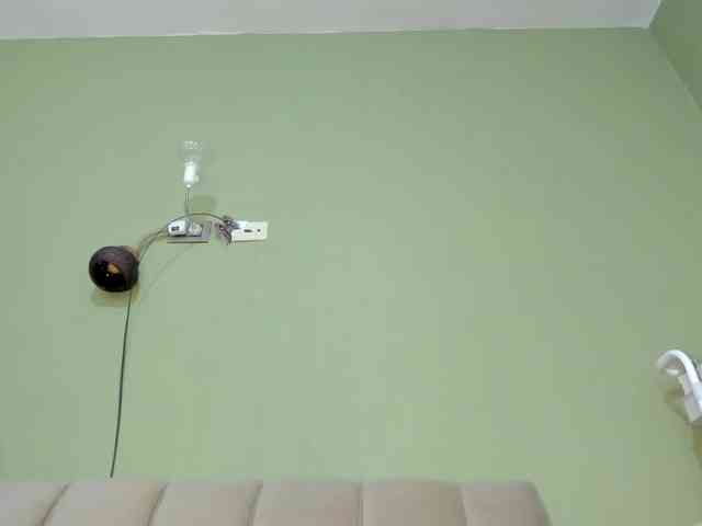 Mspurrfect webcam