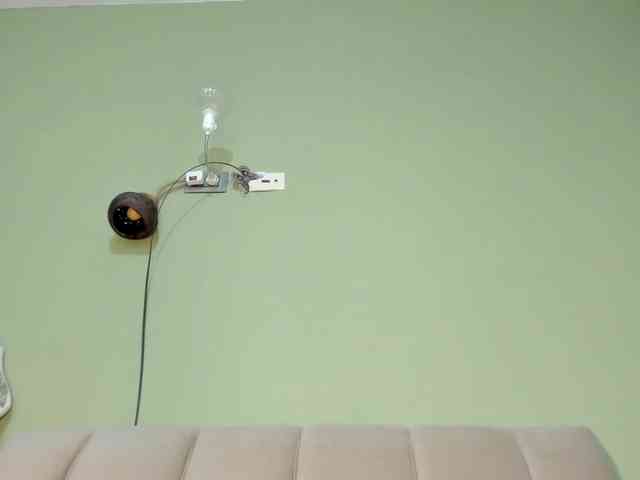 Mspurrfect webcam