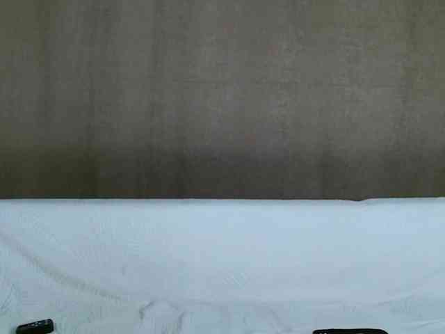 Oktaviya webcam
